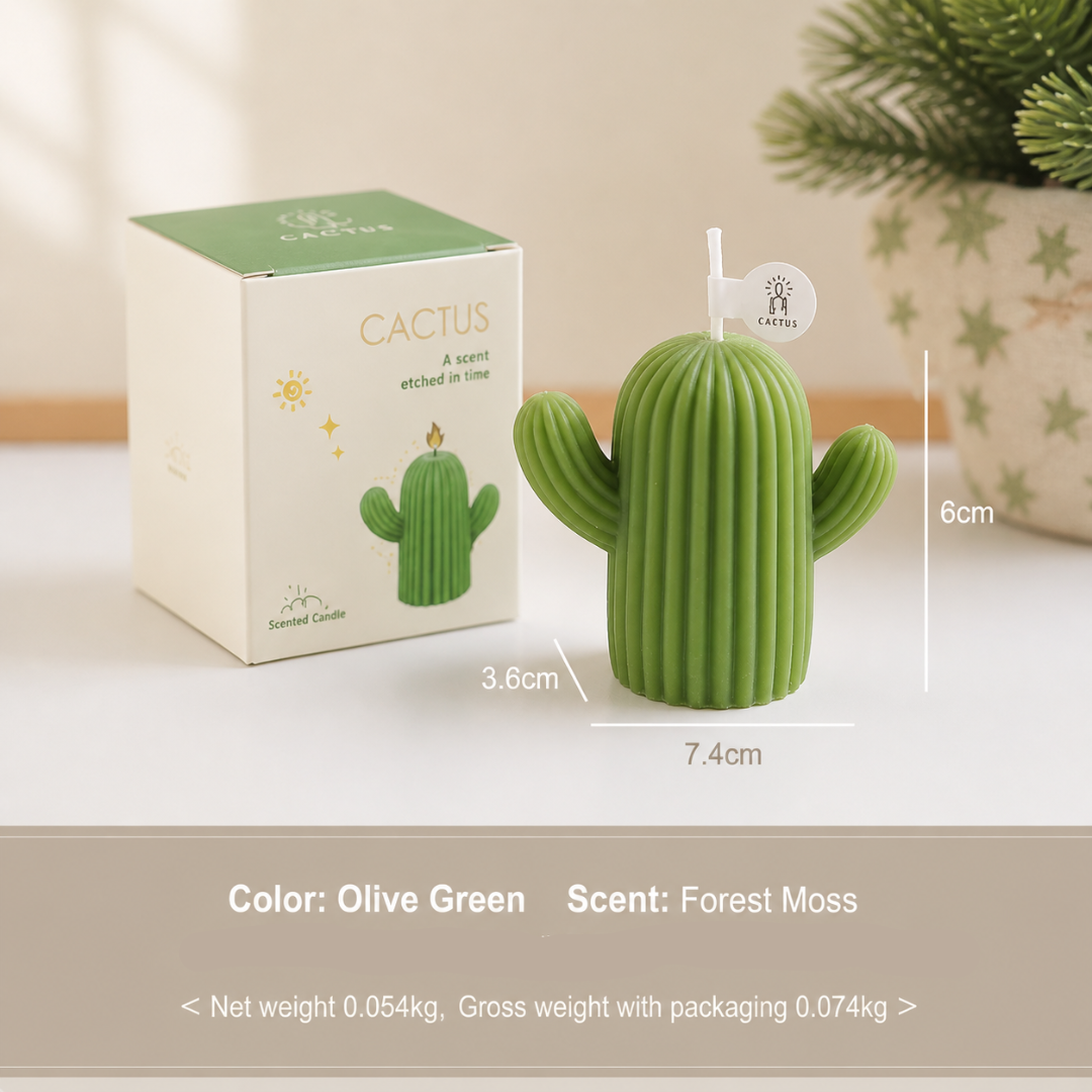 CACTUS CANDLE GIFT