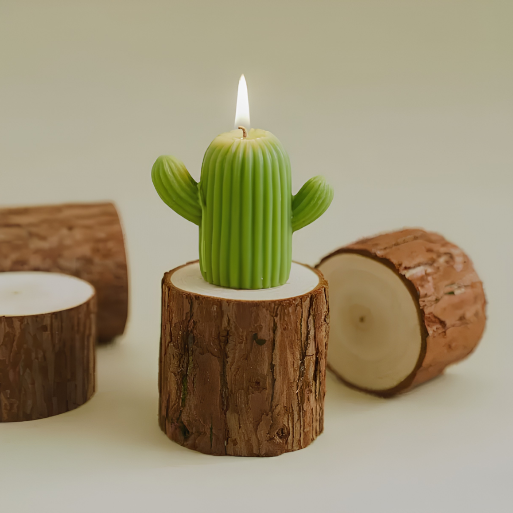 CACTUS CANDLE GIFT