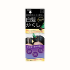TO-PLAN HIDAKA KOMBU BÂTONNET DE COLORATION CAPILLAIRE NOIR 20G