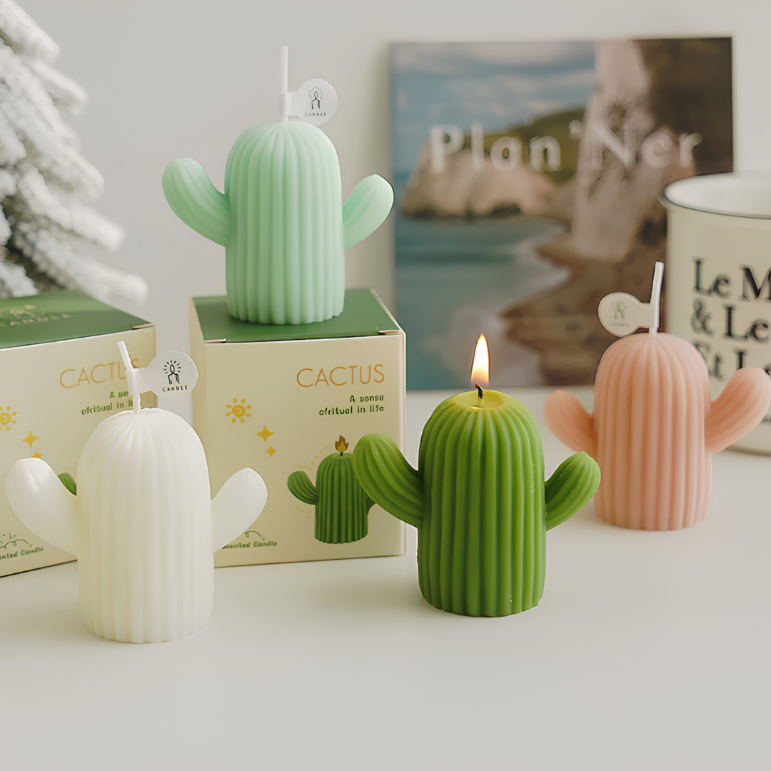 CACTUS CANDLE GIFT