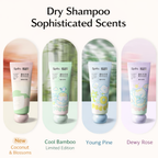 SPES SEBUM CONTROL VOLUMIZING NO-RINSE SHAMPOO 80ML
