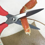 KIMURA CUTLERY HYBRID KITCHEN SCISSORS - 2 COLOURS