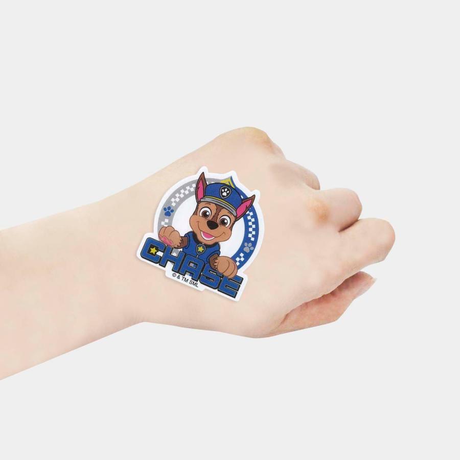 SKATER DIE-CUT BANDAGES PAW PATROL 20 SHEETS