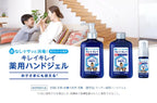 LION KIREI KIREI HAND SANITIZER GEL 28ML