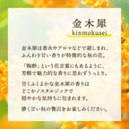 SOSUU OSMANTHUS (KINMOKUSEI) CARBONATED BATH TABLET 40G