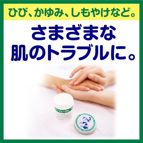 ROHTO PHARMACEUTICAL MENTHOLATUM OINTMENT C 75G