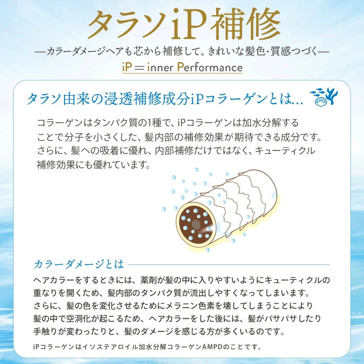 KOSE JE L’AIME IP THALASSO REPAIR MOIST & SMOOTH SHAMPOO 480ML