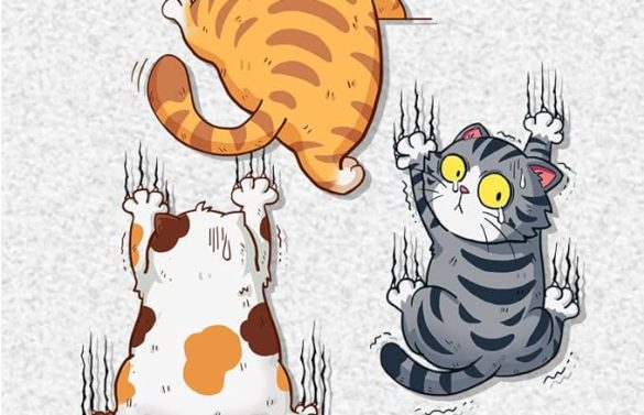 Funny Climbing Cats Car Stickers 3Pcs